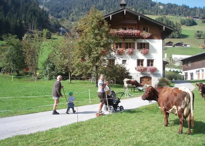 Villa Biobauernhof AUBAUER Großarl